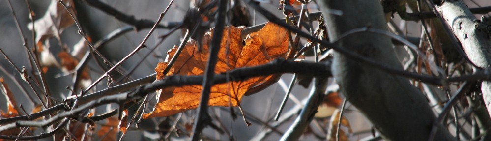 Some Not So Random Thoughts